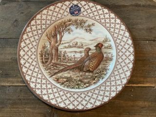Set Of 4 Royal Stafford Thanksgiving Pheasant Dinner Plates 11” Fall Decor