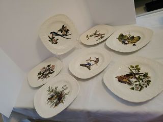 Set Of 7 Alfred Meakin Birds Of American Square Plates 8.  5 "
