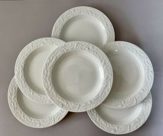 6 Mse Martha Stewart Everyday White Acorn 8 1/4 Salad Dessert Plates