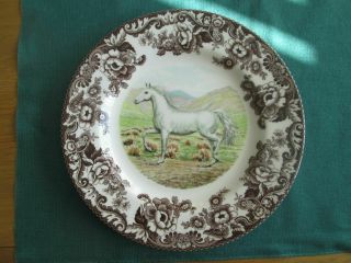 Spode Woodland Arabian Horse Dinner Plate 10.  5 " Made In England