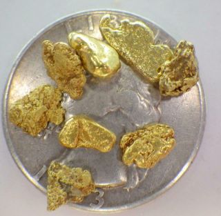 Gold Nuggets 3,  Grams Placer Alaska Natural 6 Ganes Creek High Purity