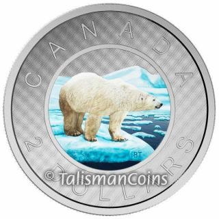 Canada 2016 Polar Bear Big Coins Series $2 Toonie 5 Oz Silver Color Proof In Ogp