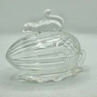Martha Stewart By Mail L E Smith Clear Glass Squirrel On Acorn Covered Dish (ct)