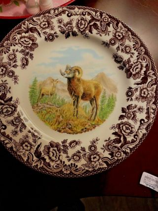 Qty 2 Set Spode Woodland Salad Plate Big Horn Sheep Made In England Nwt