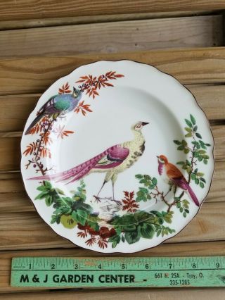 Vintage Williamsburg Mottahedeh Chelsea Bird 8 1/4” Porcelain Salad Plate