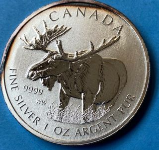 2012 Moose￼ Silver 1 Ounce Coin $5 Dollars From The Canadian Wildlife Series