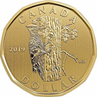 2019 Canada $1 Pileated Woodpecker Loonie From Specimen Set