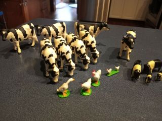 Farm Country Holsteins Cows,  Pigs And Chickens Assortment.
