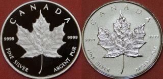 Proof 2019 Canada Maple Leaf Pure Silver Token From 