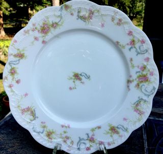 Theodore Haviland Limoges The Princess Dinner Plate Set Of 6