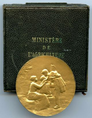 France Ministry Of Agriculture Gilded Silver Medal By Alloy 50mm 64gr
