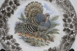 Churchill Myott England Wildlife Turkey Dinner Plate 10 