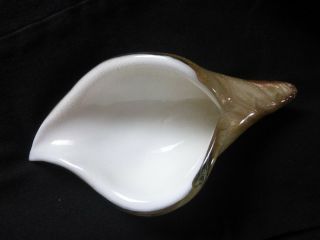 Murano Conch Aventurine Glass Bowl/cornucopia