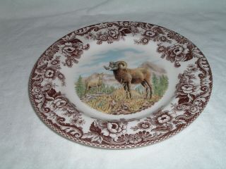 Spode Woodland Big Horn Sheep Dinner Plate 10 1/2 " England Pristine