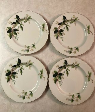 Theodore Haviland Orange Blossom Dinner Plates - Set Of 4