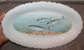 Antique Austria Carlsbad Large Fish Platter