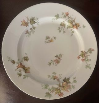 Haviland China Autumn Leaf France Dinner Plate Set Of Two (2) - 9 - 3/4 " - No Trim
