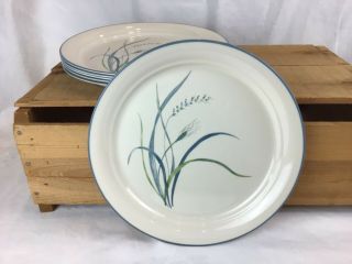 Corelle Coastal Breeze 6 Lunch Plates 8.  5” Blue Green Wheat Grass Shiny Vguc