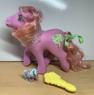 My Little Pony Windy Magic Message W/ Mommy Charm Brush Ribbon Vintage