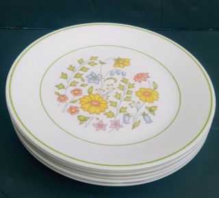 Set Of 8 Corelle Spring Meadow Lunch Salad Plates Dishes 8.  5 " Floral Green Edge