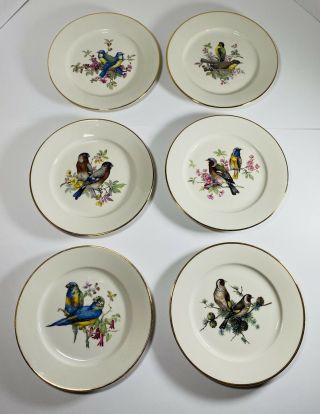 6 Jkw Western Germany Fine Porcelain Decorative Bird Plates Gold Gilt Rim 8.  5”