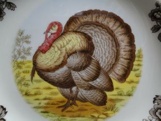 Spode Woodland Turkey Game Bird,  England: Dinner Plate (s),  10 1/2 