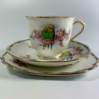 Vintage Royal Albert Crown China Trio C1927 Budgie Birds Tea Cup Saucer & Side