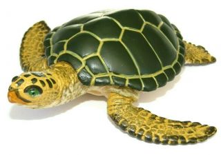 Hand Painted Realistic Detail 3.  5 " Tortoise Sea Turtle Pvc Plastic Figure