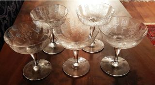 5 Central Glass Harding - Clear Pattern 780 Etched Clear Sherbet Glasses