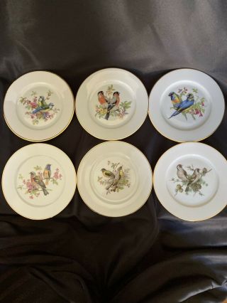 Set Of 6 Rosenthal Jkw Western German Fine Porcelain Bird Plates W/gold Trim