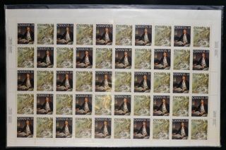 Kengo Canada Stamp 763 764 Captain James Cook Nootka 14c Full Sheet Mnh @s55