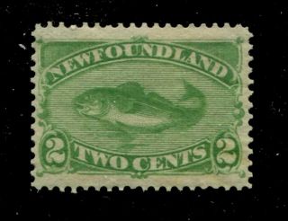 Newfoundland 46 Sg 46 Mh Vf 2c 1880 - 1896 Is.  [n3240] Cv=$100.  00