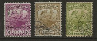 Newfoundland Selection Of From 1919 Caribou Set The Two Top Values