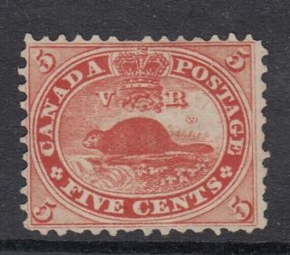 Canada Ng Scott 15 5 Cent Beaver Vermilion " First Cents " F