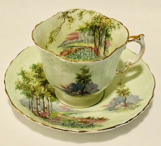Aynsley Green Embossed Square Teacup & Saucer Meadow Woodland Scene