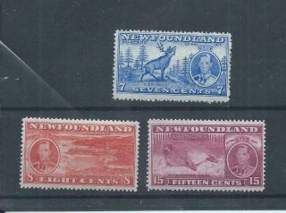 Newfoundland Stamps 1937 Additional Coronation Perf 13 1/2 Mh 7c,  8c,  15c (p507)