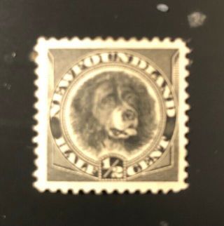 Stamps Canada Newfoundland Sc58 1/2 Cent Black Newffoundland Dog - See Detail.