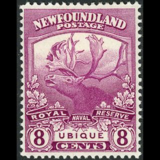 Newfoundland Canada 1919 8c Caribou.  Sg 136.  Heavy Hinge Remains.  (wc190)