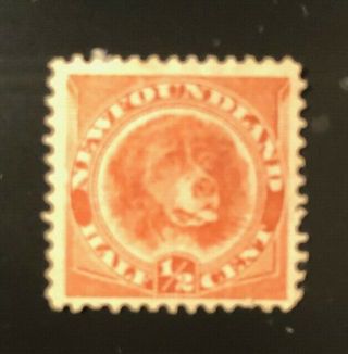 Stamps Canada Newfoundland Sc56 1/2 Cent Red Newffoundland Dog - See Detail.