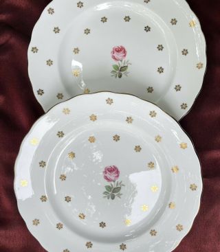 Royal Taunton 8 - 3/8 " Plates Pink Rose W/gold " Stars " Bone China England