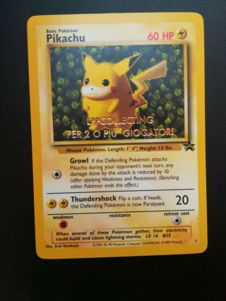 Pokemon Eng Ivy Pikachu Promo Black Star Wotc No.  1 Golden Stamp 3