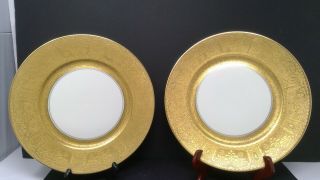 Bohemia Czechoslovakia 10 3/4 " China Gilded Gold Trimmed Dinner Plates
