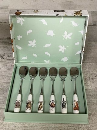 Royal Worcester Wrendale Designs Set Of 6 Tea Spoons