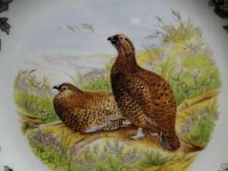 Spode Woodland Red Grouse Game Bird: Salad Plate (s),  7 3/4 
