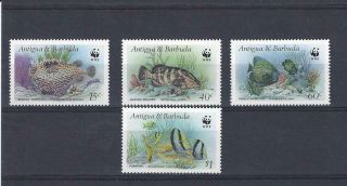 Antigua And Barbuda 1987 Mnh Wwf Fish Set See