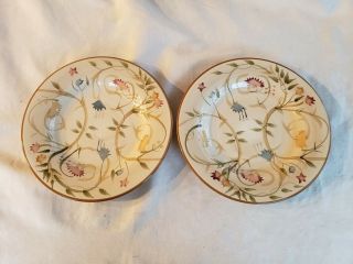 Target Home American Simplicity Floral Dinner Plates 11.  25 " Set Of 2