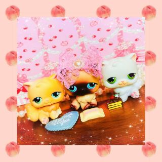 ❤️authentic Littlest Pet Shop Lps 15 22 217 Brown White Persian Kitty Cat Lot❤️