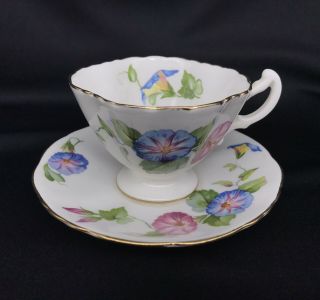 Vintage Hammersley & Co.  Bone China Cup & Saucer Morning Glory