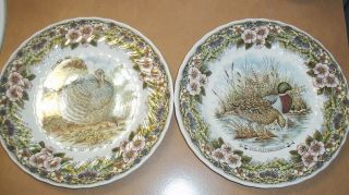 Set Of 2 Churchill Wildlife Scenes Dinner Plates Turkey & Ducks About 10 Inches