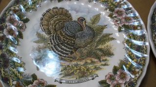 SET of 2 Churchill Wildlife Scenes Dinner Plates Turkey & Ducks about 10 inches 3